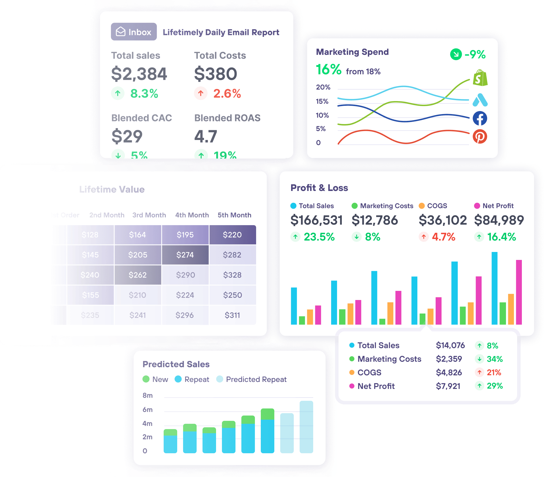 Lifetimely LTV by AMP Shopify App