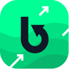 BIS Icon