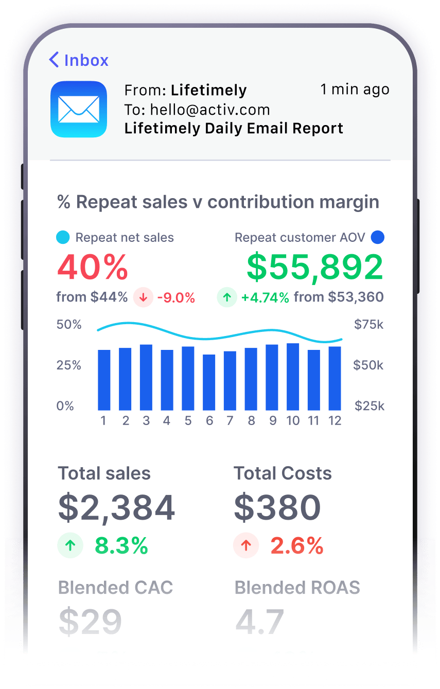 lifetimely-custom-dashboards-email-03 Lifetimely by AMP Custom Analytics Dashboards Email Reports