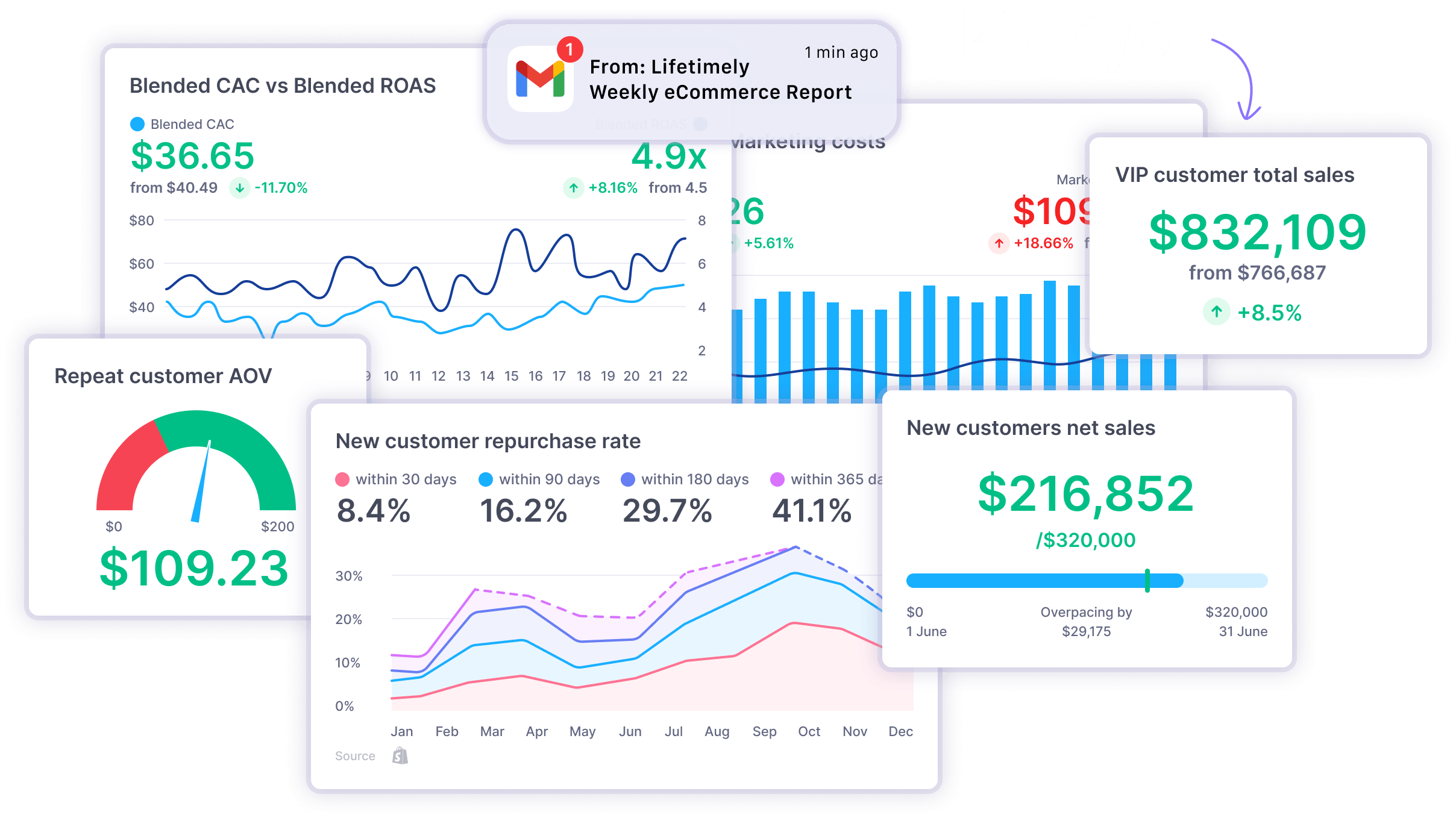 All Your eCommerce Reporting in One Custom Dashboard with Lifetimely by AMP Shopify app
