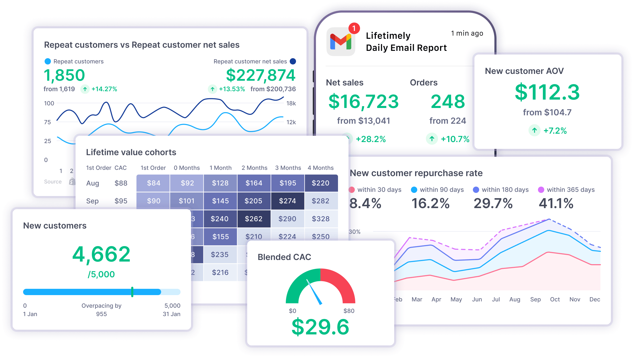 Lifetimely by AMP deep insights into P&L, CAC, LTV and customer behavior for you Shopify store